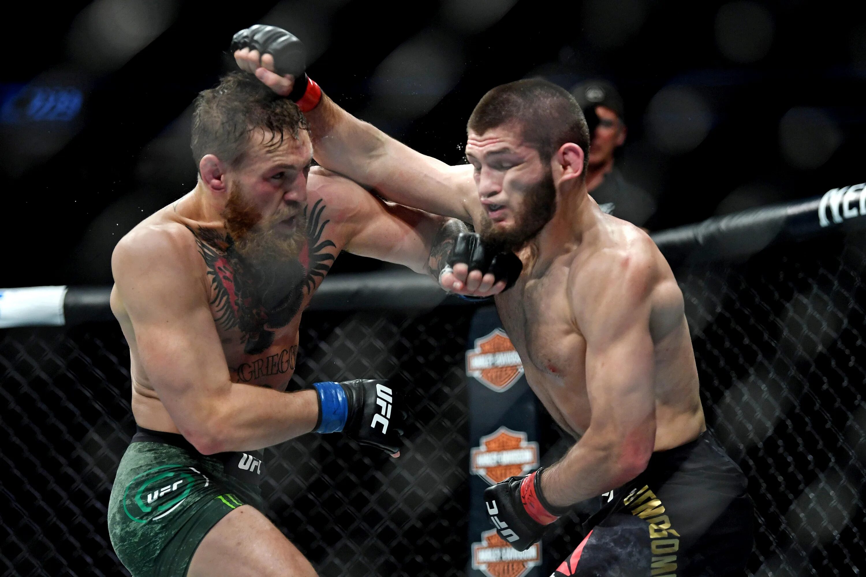 Ufc лучше. Ufc лучше