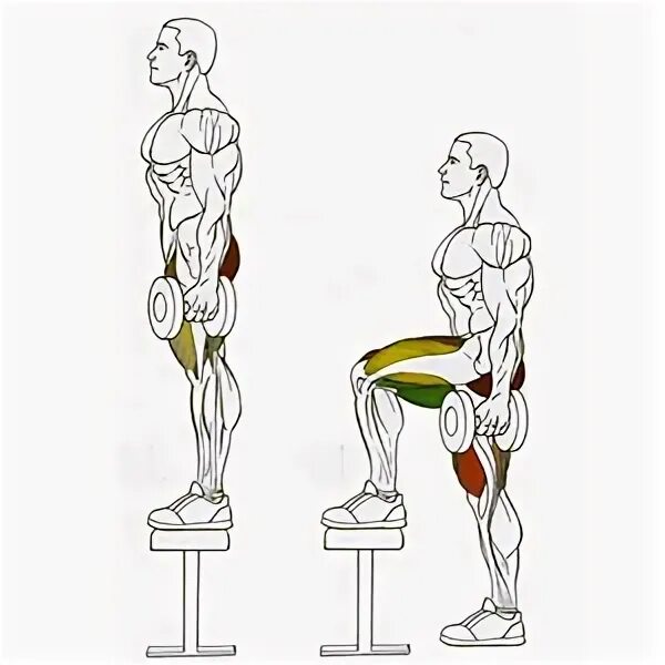 Зашагивания на платформу мышцы. Зашагивания на скамью с гантелями. Упражнение зашагивание на платформу. Зашагивания на лавку мышцы.