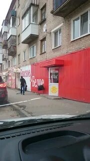 Бел березники