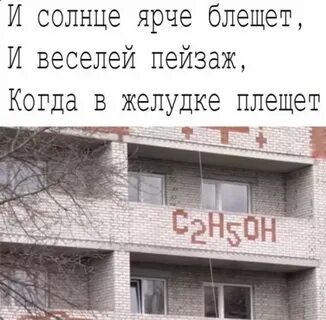 И солнце ярче светит и веселей