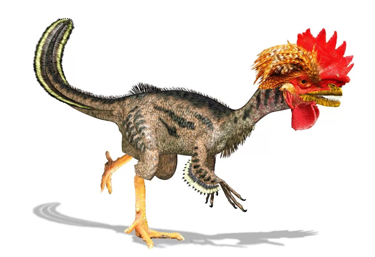 Какой 1 динозавр. Курозавр Хорнер. Курица потомок динозавров. Тираннозавр предок курицы. Динозавр прародитель курицы.