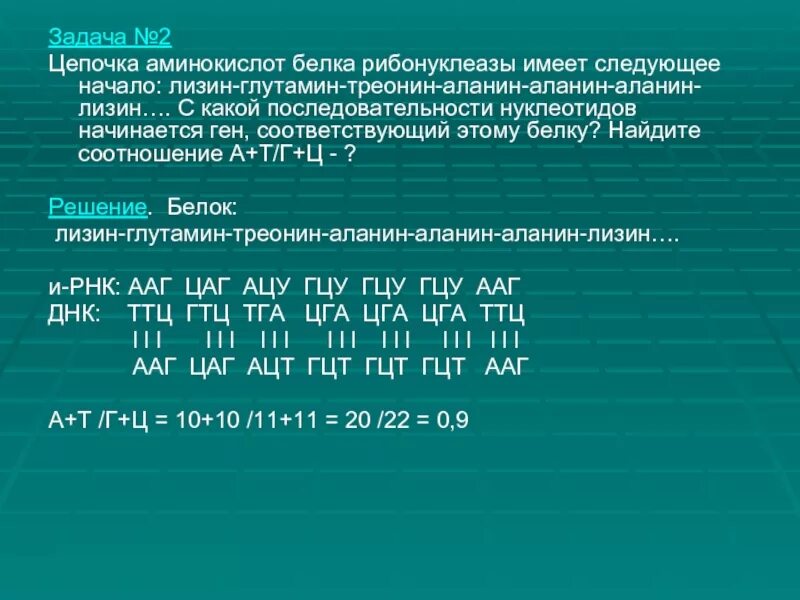 Участок гена имеет следующее строение. Лизин-глутамин-треонин-аланин-аланин-аланин-лизин. цепочка аминокислот белка рибонуклеазы имеет следующее начало. последовательность аминокислот. глутамин лизин треонин.