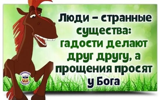 Включи не прощен. Не прошу прощения в прощенное воскресенье. не надо просить прощения. раз в год просить прощение. если кто-то хочет попросить у меня прощения.