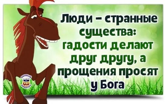 Кто первый просит прощения. Не прошу прощения в прощенное воскресенье. Не надо просить прощения. Раз в год просить прощение. Если кто-то хочет попросить у меня прощения.