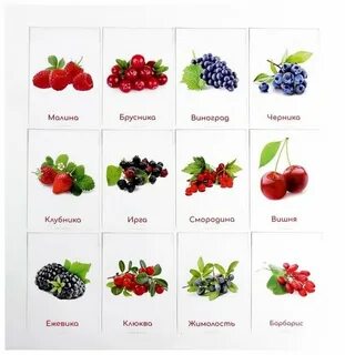 Карточки ягоды для детей