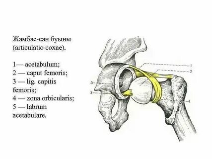 Пайдаланушылардан жеке ресейлік үй порно