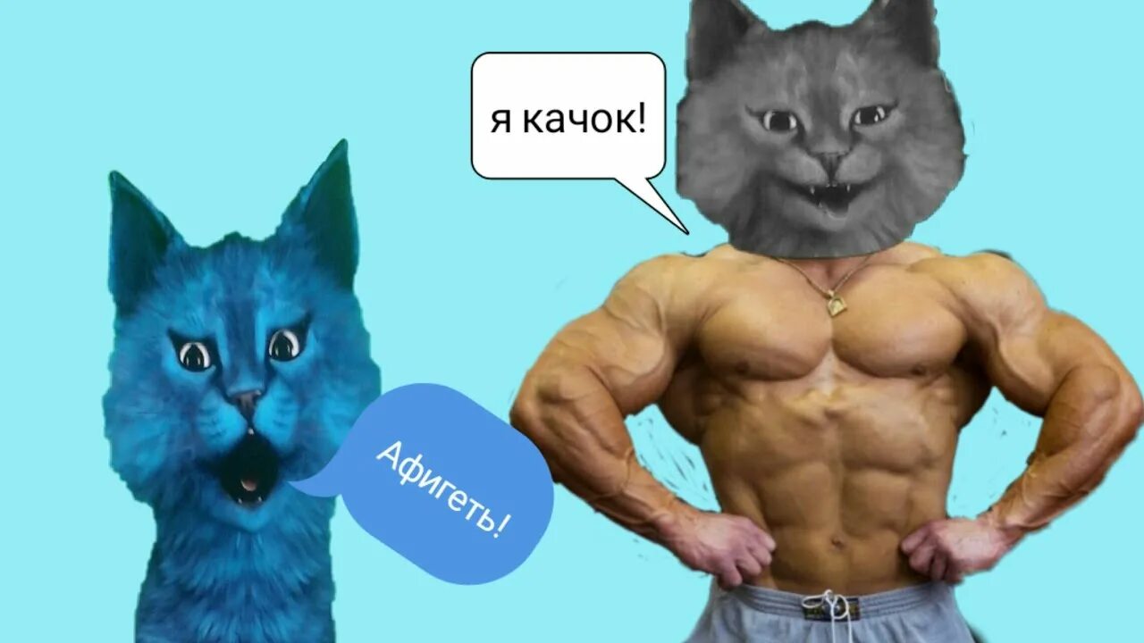 Котенок лайк котенок лайк ваги ваги. Котенок лайк. котёнок лайк в реальной жизни. как выглядит котенок лайк в реальной жизни. котенок игроман в реальной жизни.