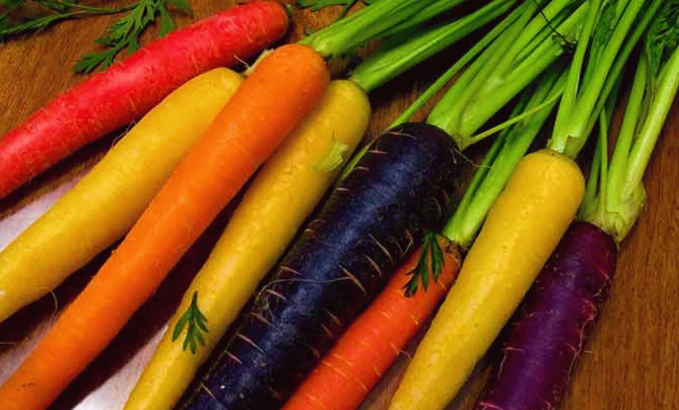 Мороже ые овощи. Морковь чаровница. Разноцветная морковь. Цветные овощи. Цвет моркови.