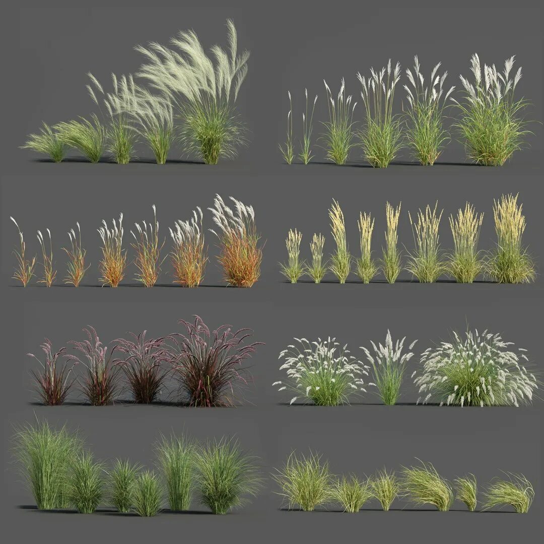 GROWFX 3ds Max. Трава в 3ds Max. Трава в Blender. Декоративная трава для макетов. Plants pack