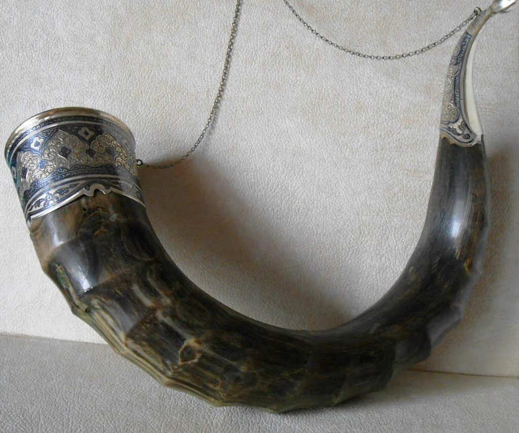 Рог тура. Вещи Рог. Рог тура в интерьере. Wine Horn.