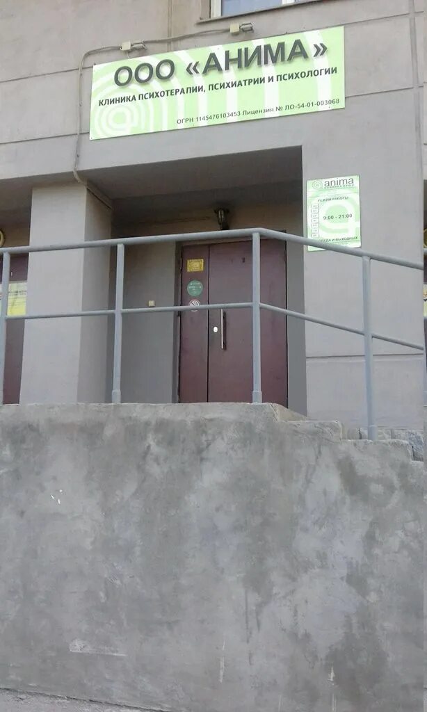 Улица семьи шамшиных новосибирск. Кварсис семья шамшиных. Анима семьи шамшиных. Анима клиника новосибирск. Киян екатерина владимировна.