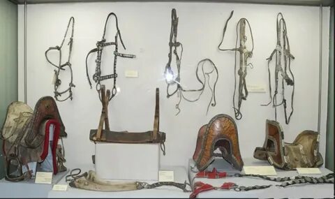 Соңғы батыр эротикалық бейне