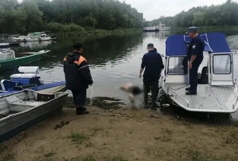 Остров утонул