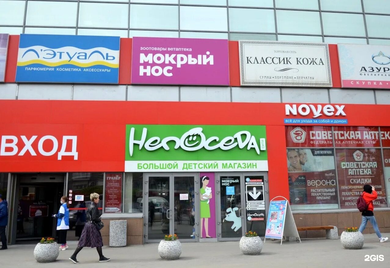 мокрый нос зоомагазин. мокрый новосибирск. мокрый нос офис. мокрый нос, новосибирск, улица гоголя. магазин мокрый нос.