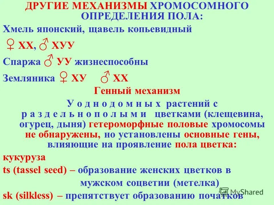 хромосомная теория определения пола