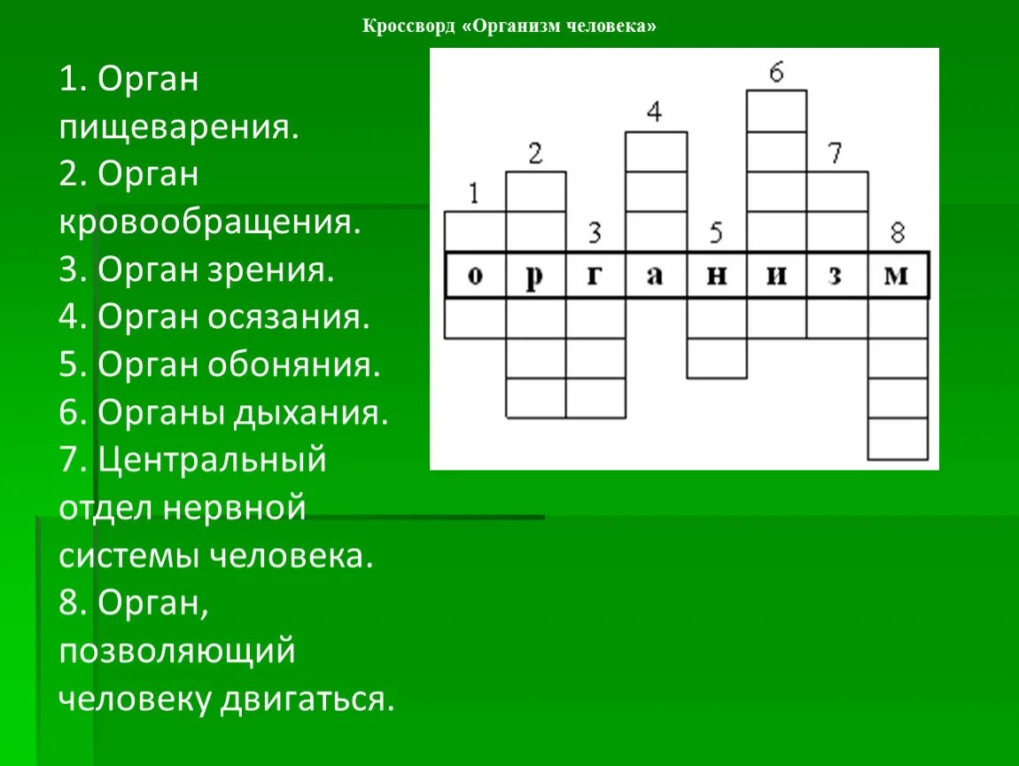 Кроссворд на тем человек. Кроссворд на тему органы человека. Кроссворд по теме тело человека. Кроссворд на тему организм человека.