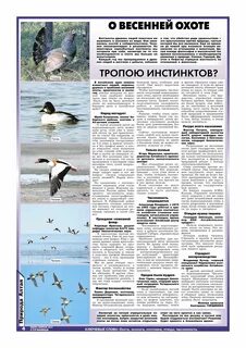 Охотничьи инстинкты на русском