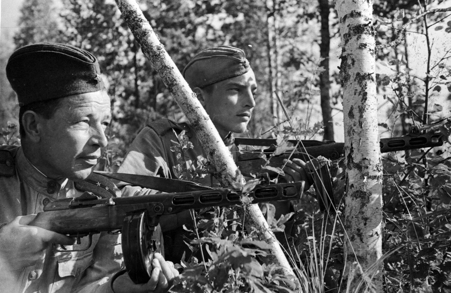 История великой отечественной войны фото. Снимки ВОВ 1941-1945. Берёза в годы войны. Военные кадры.