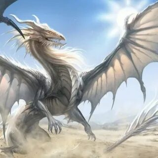 Dragons den