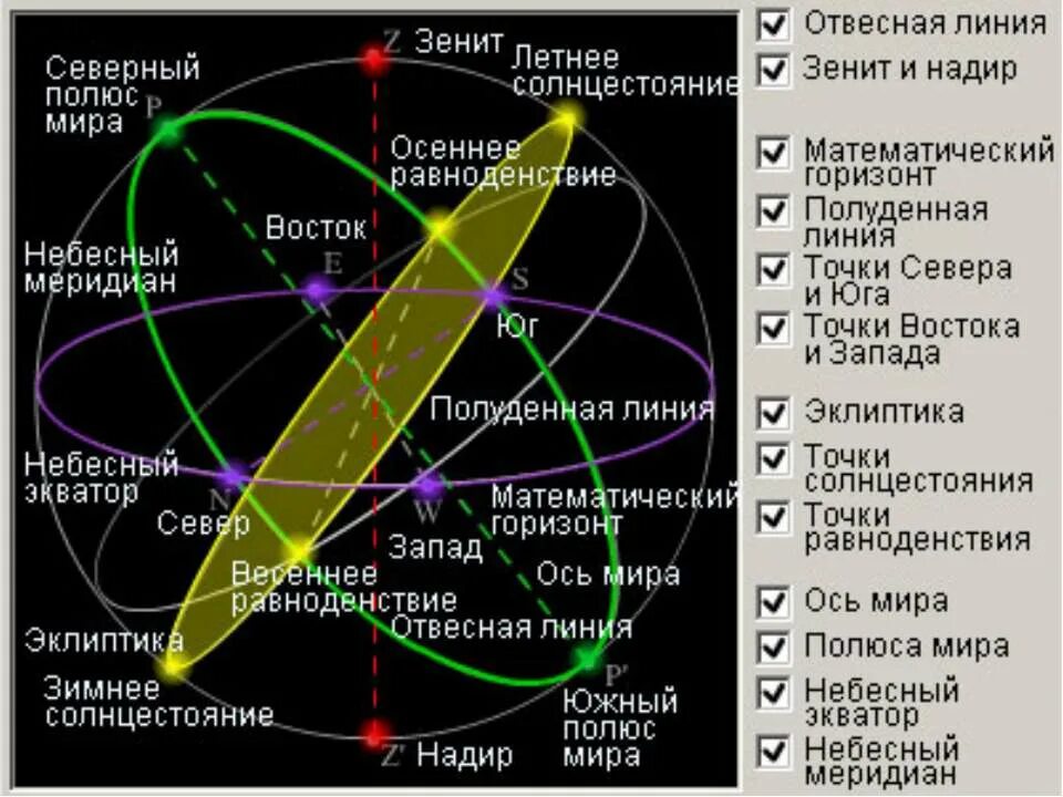 Основные точки небесной сферы астрономия. Основные точки линии и плоскости небесной сферы. Что такое Небесный Экватор и Небесный Меридиан. Отвесная прямая линия