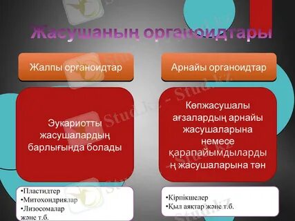 bbw порно көру