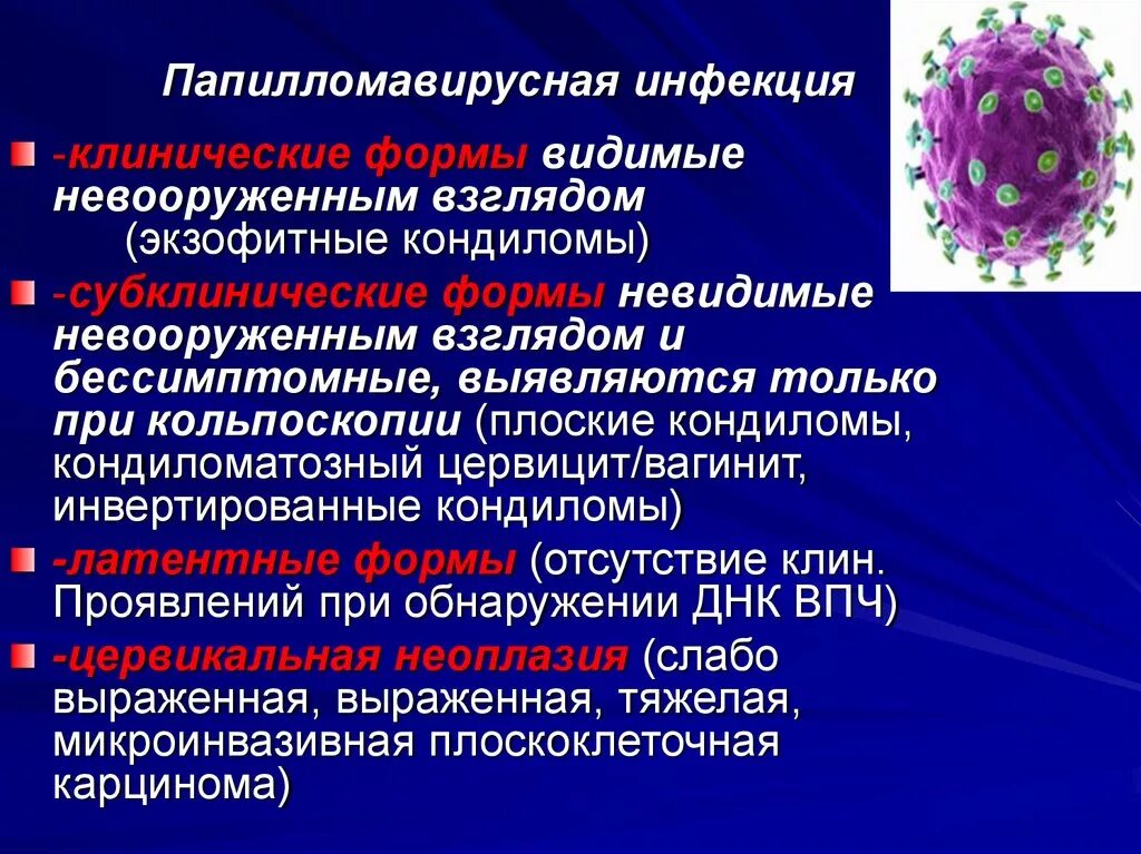 Папилломавирусная инфекция. Попеломофирусная инфекции. Клиническая форма папилломавирусной инфекции.