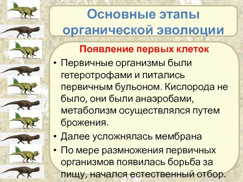 Возникновение клеточной формы жизни