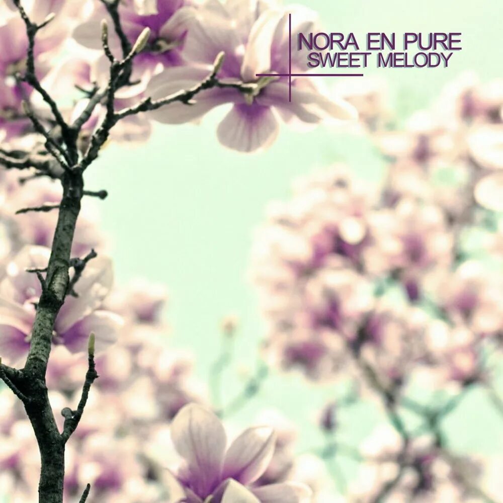 Nora en Pure фото. Nora en Pure Purified. Pure Swit. "Nora en Pure" && ( исполнитель | группа | музыка | Music | Band | artist ) && (фото | photo).