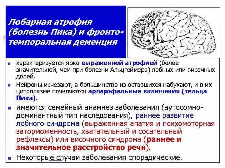 Структурные изменения мозга. Морфологические изменения при болезни Альцгеймера. Атрофические процессы головного мозга. Болезнь Альцгеймера поражение. Атрофические изменения коры головного мозга.