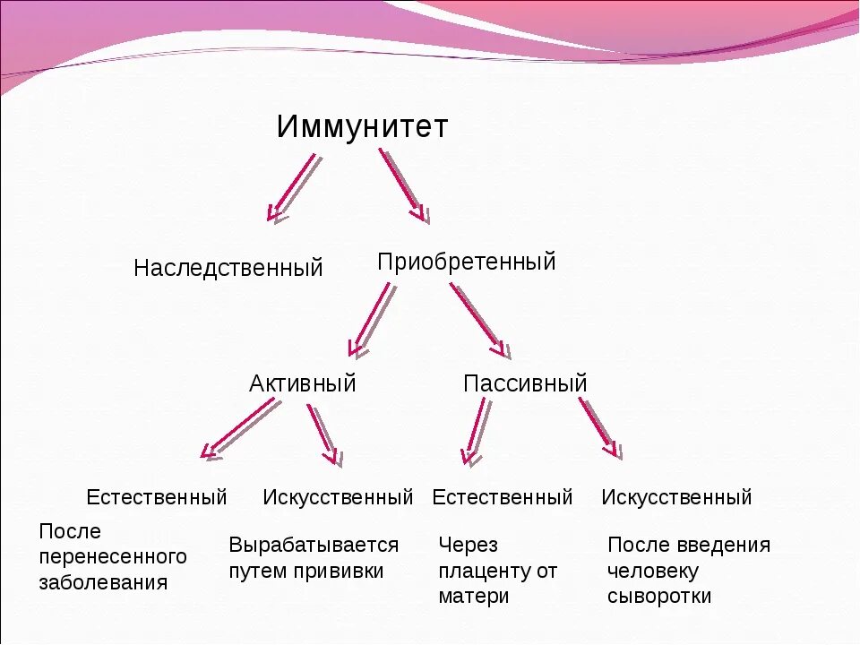 Активный и пассивный иммунитет схема. Искусственный активный иммунитет и пассивный иммунитет. Приобретенный естественный пассивный иммунитет. Активный и ПАССИВЫНЙ иму.