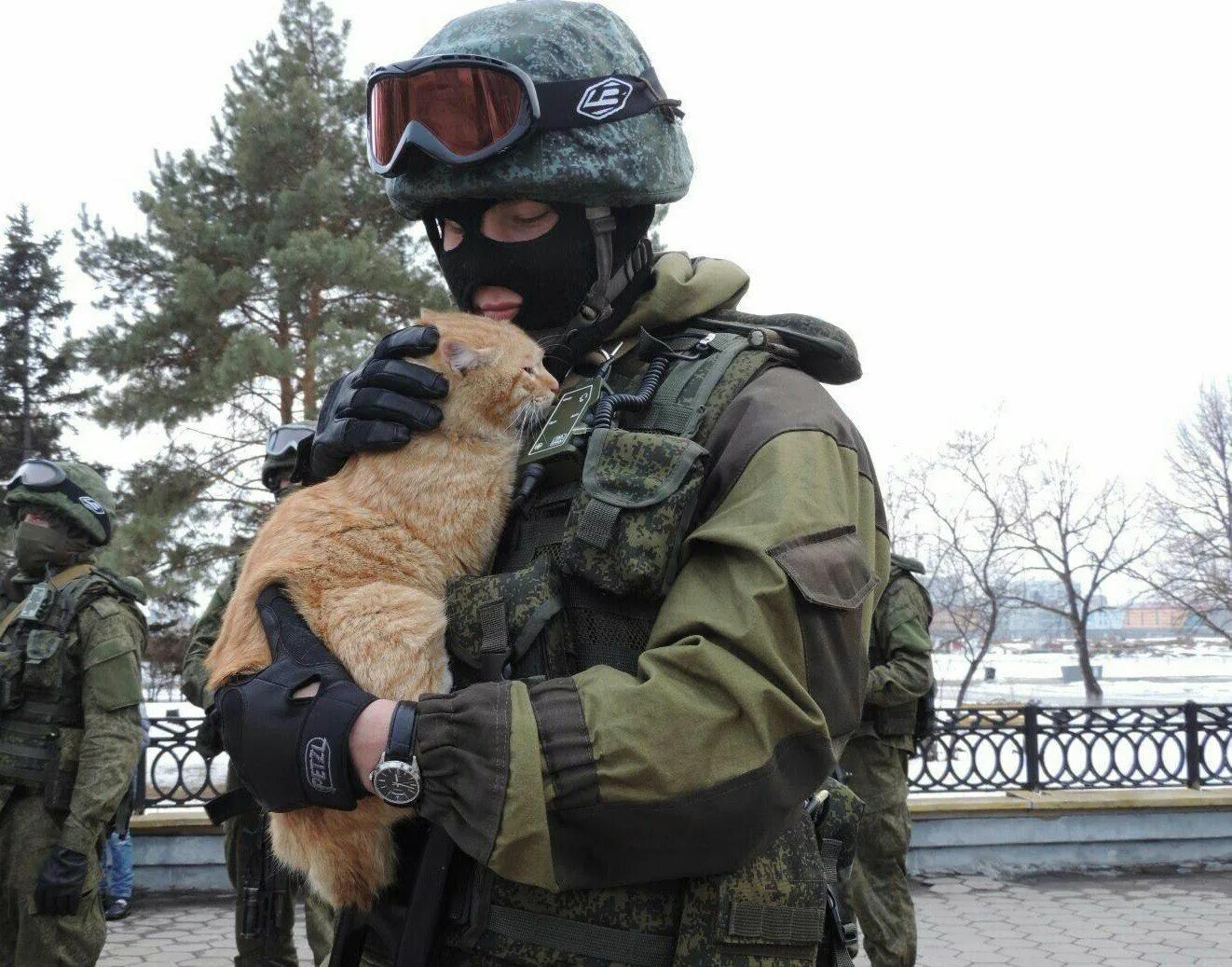 Вежливые люди ССО РФ. Военный спецназ России вежливые люди. Кот военный. Вежливый солдат с котом.