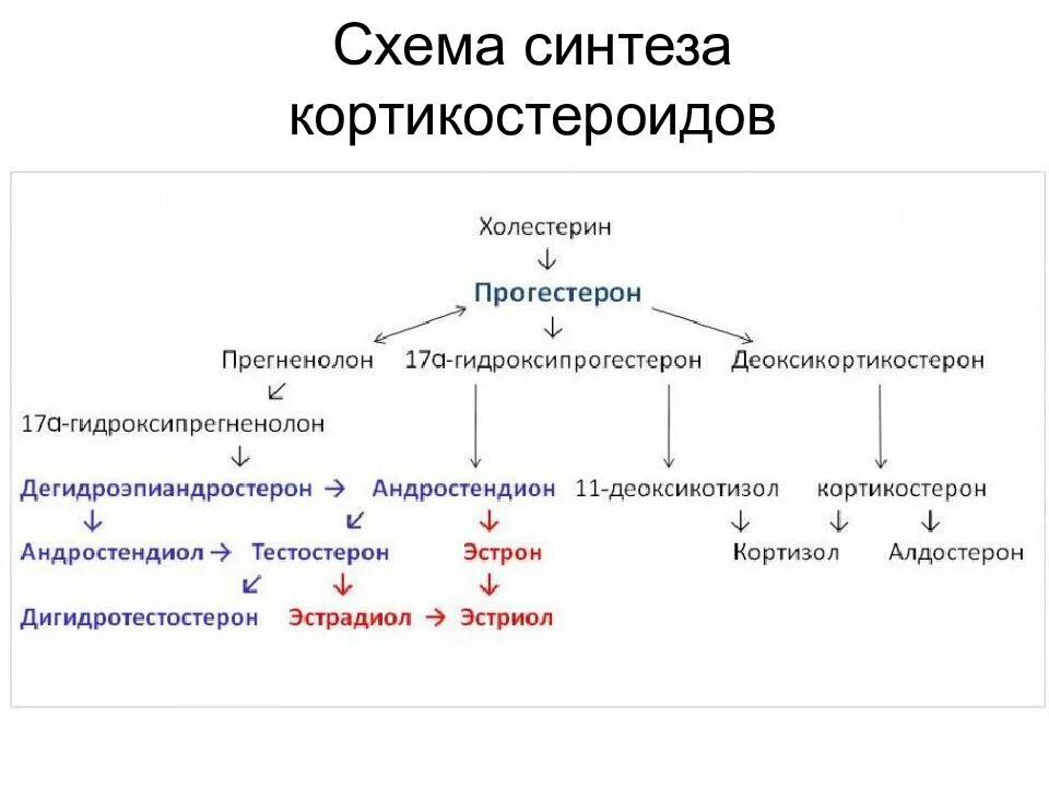 Схема синтеза стероидных гормонов биохимия. Схема синтеза стероидных гормонов. Синтез тестостерона схема. Синтез стероидных гормонов из холестерина схема.