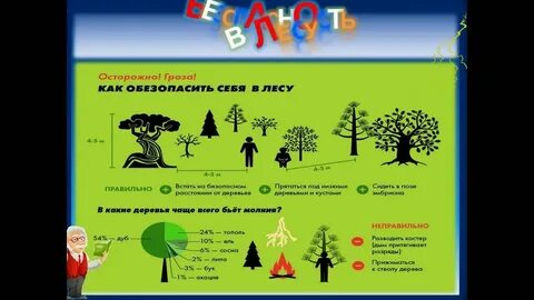 Где спрятаться от грозы в лесу