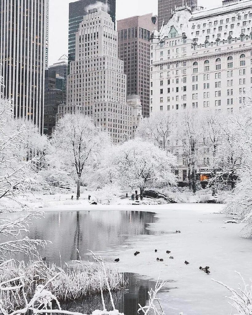 Прекрасный город и зима и лето. Центральный парк Нью-Йорк зимой. Централ парк Нью Йорк зима. Нью Йорк зимний Манхэттен. Нью-Йорк 1910 Центральный парк зима.