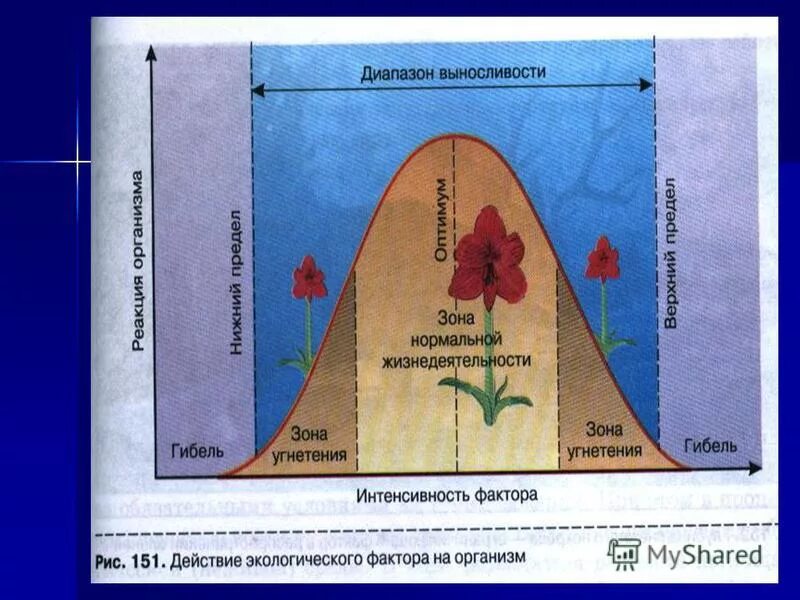 Диапазон выносливости это. Зона нормальной жизнедеятельности. Зона оптимума для растений. Зона нормальной жизнедеятельности организма. Закон оптимума экология.