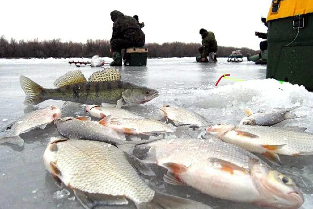 Зимняя рыбалка. Рыбак зимой. Зимняя рыбалка на Озерах. Зимняя рыбалка улов. Рыбалка в марте на озерах
