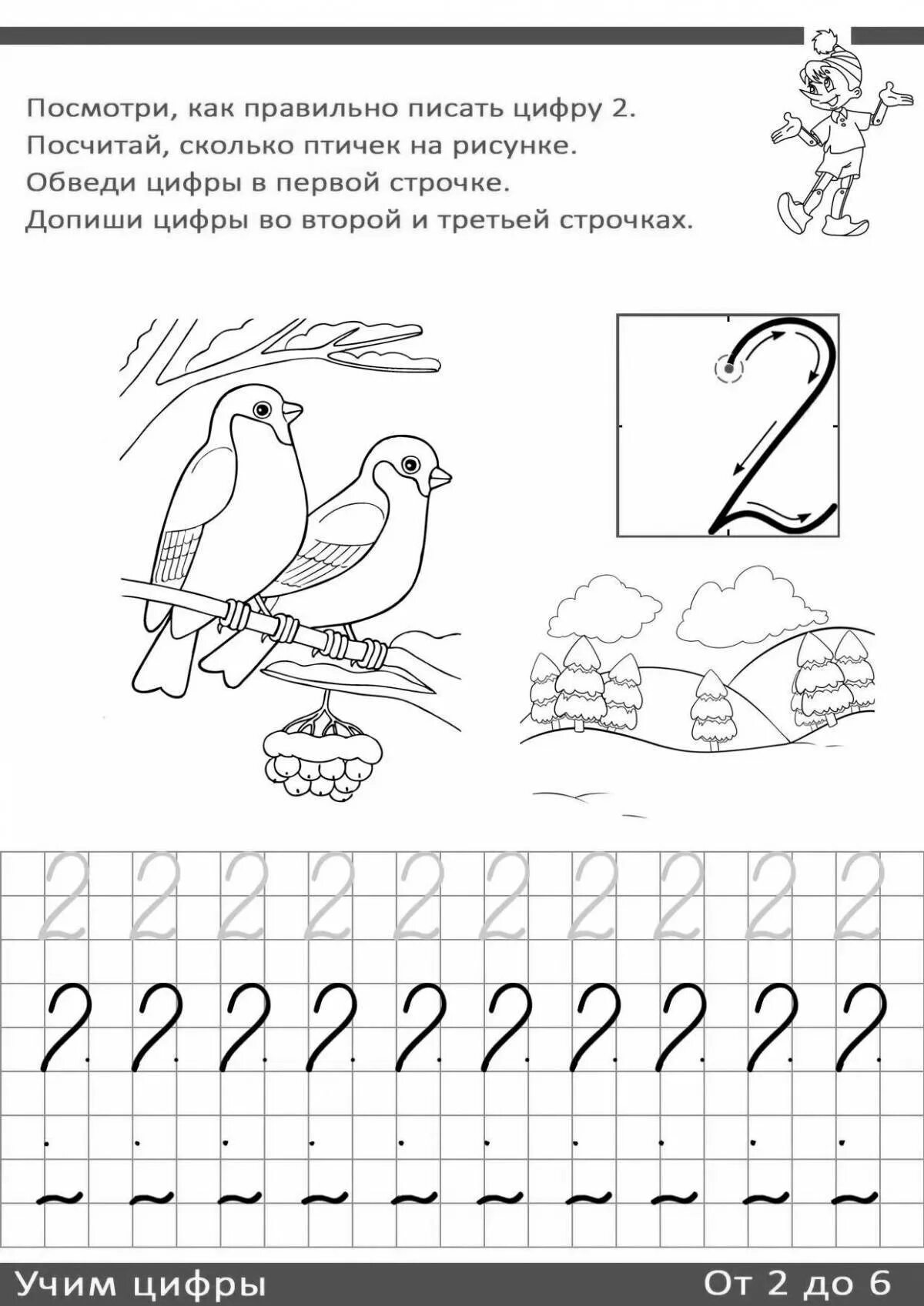 Как писать два года. Прописи написание цифры 2 для дошкольников. научиться писать цифру 2. прописать цифру 2 для дошкольников. как правильно учить ребенка писать цифры.