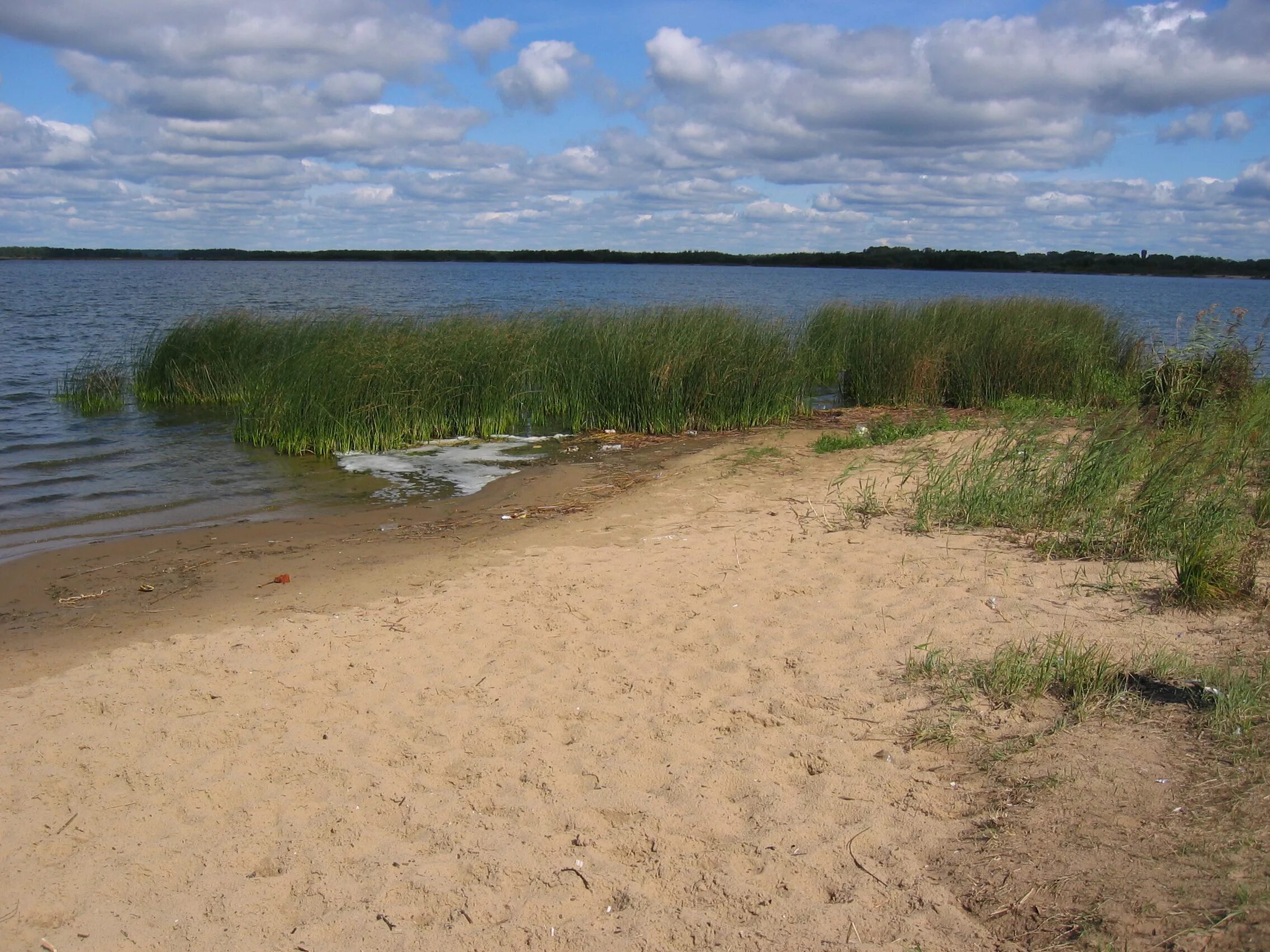 святое озеро (шатурский район). святое озеро (шатурский район). шатурское озеро святое. озеро святое шатура. озеро свиношное шатурского.