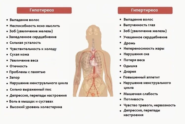 Какие болезни излечивает. Симптомы гипо и гипертиреоза. Клинические проявления при гипотиреозе и гипертиреозе. Гиперфункция щитовидной железы симптомы. Клинические симптомы гипертиреоза.