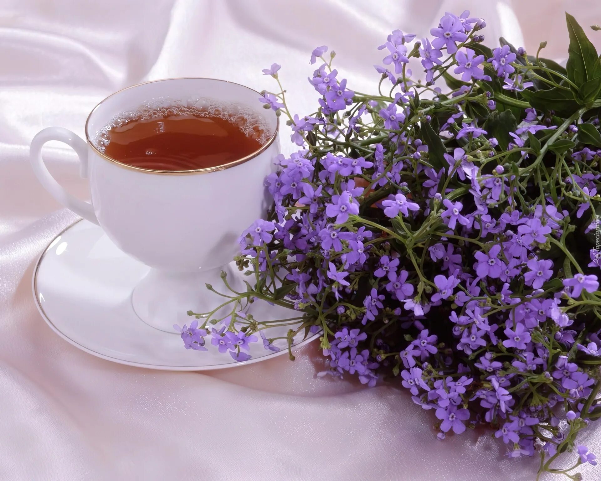 Доброе утро хорошего дня чаи. Чай с чабрецом. Утро чай цветы. Красивые пожелания с добрым утром. Чай с тимьяном.