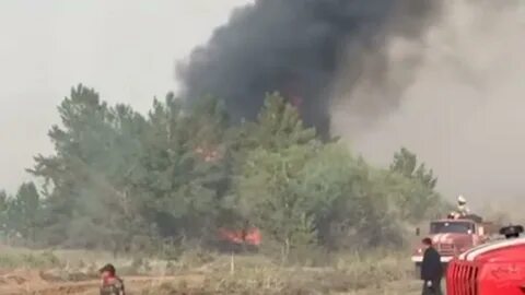 Абайская область последние новости