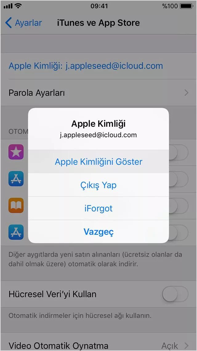 Apple id для app store. ITUNES Store. App Store ICLOUD. Эпл стор ITUNES Store. Американский айклауд.