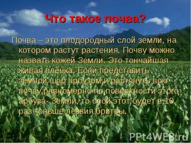 Презентация "Что такое почва?" (окружающий мир, 3 класс)