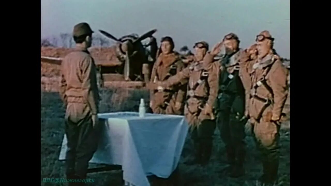 розенбаум летчик камикадзе. я по совести указу записался в камикадзе. камикадзе александр розенбаум. камикадзе александр розенбаум. владимир яковлевич розенбаум причина смерти.