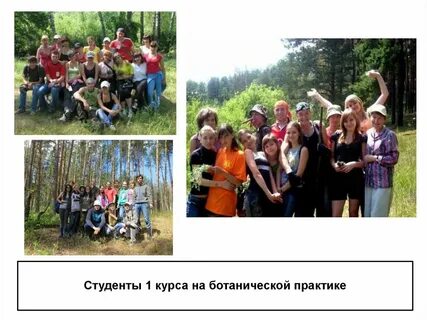 Кем можно работать после биофака