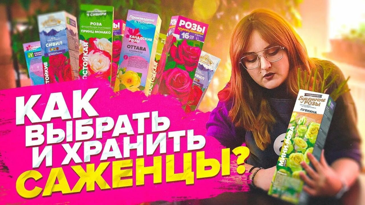 Саженцы в коробках как сохранить до посадки