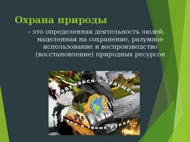 Использование охрана и восстановление природных ресурсов. Использование природы. Деятельность человека для охраны природы. Разумное использование природы человеком. Защита природы и разумное использование.