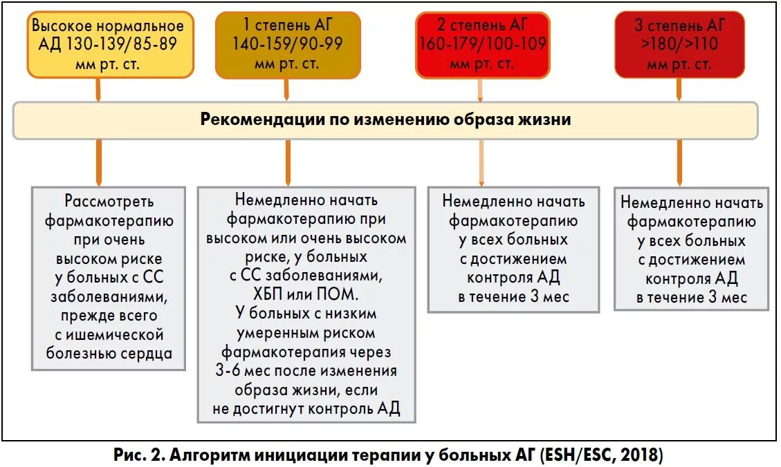 Клинические рекомендации по лечению артериальной гипертензии 2022. Лечение артериальной гипертензии клинические рекомендации 2021. Рекомендации по гипертонической болезни 2021. Клинические рекомендации по гипертонической болезни 2022.