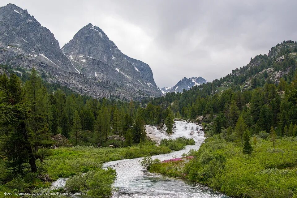 Сайт алтай край. Горный Алтай. Горы Алтайского края. Природа горного Алтая. Алтай горный Алтай.