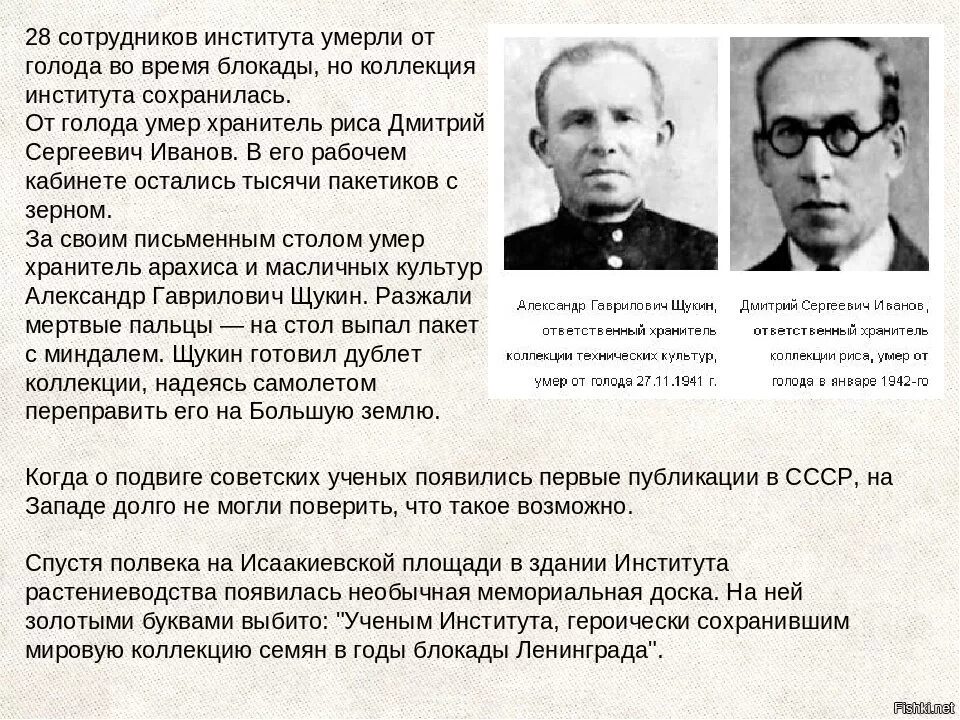 От голода умирает в день. Блокада ученые. Ученые блокадного Ленинграда. Ученые в блокаду Ленинграда. Всесоюзный институт растениеводства блокада Ленинграда.